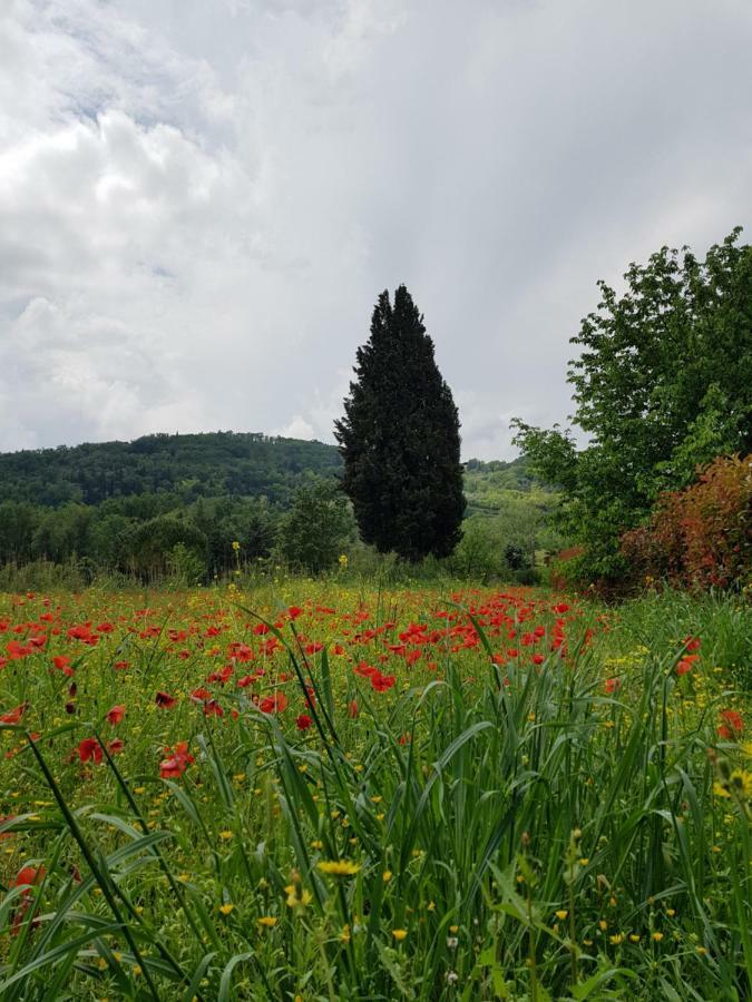 Tavarnelle Val di Pesa Sweet In Chiantiヴィラ エクステリア 写真